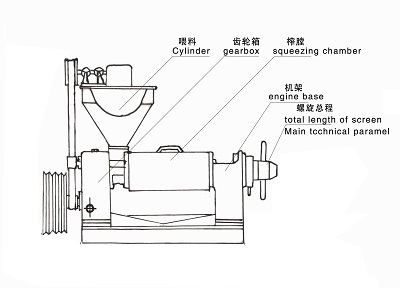 雙象榨油機(jī)