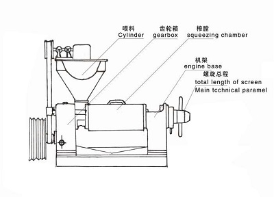 雙象榨油機(jī)結(jié)構(gòu)